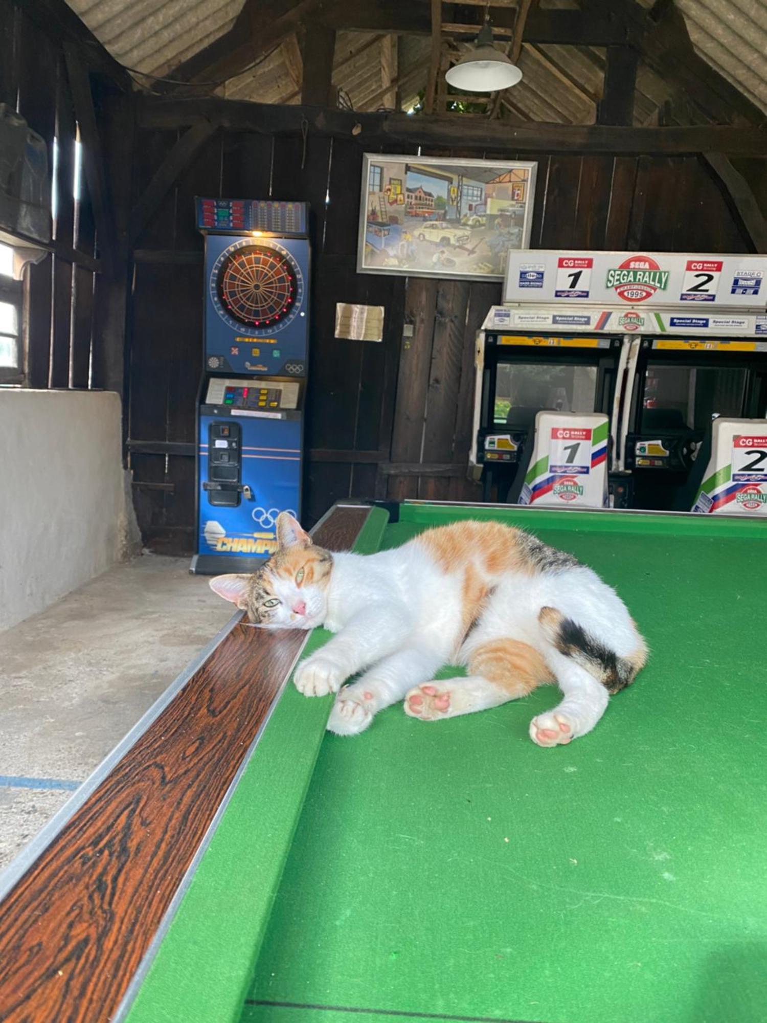 Camping La Ferme De Perdigat Limeuil Luaran gambar