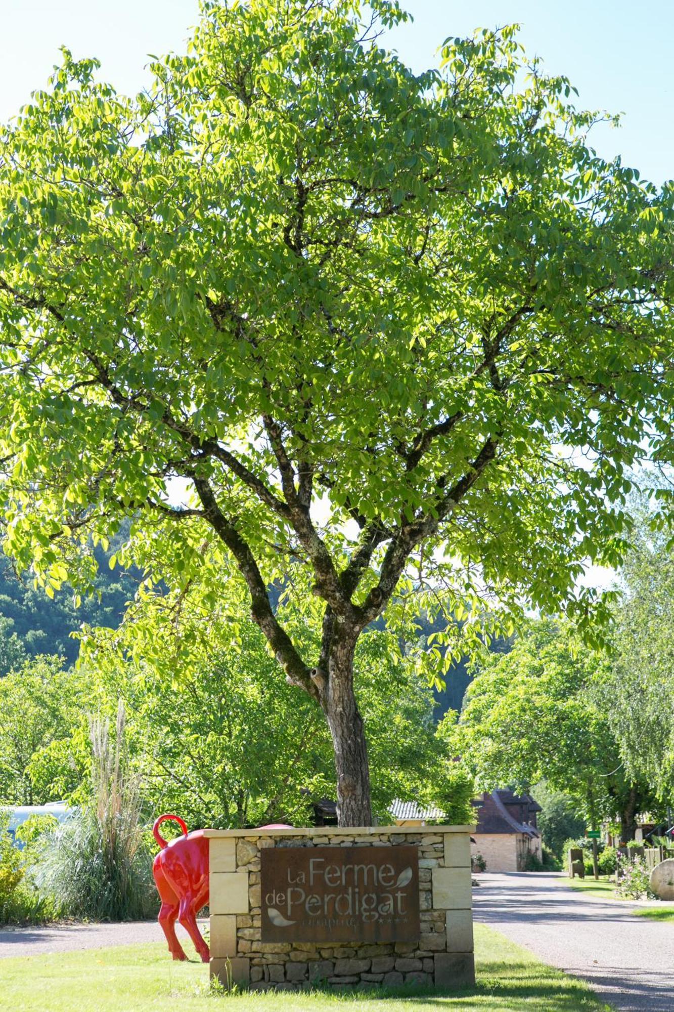 Camping La Ferme De Perdigat Limeuil Luaran gambar